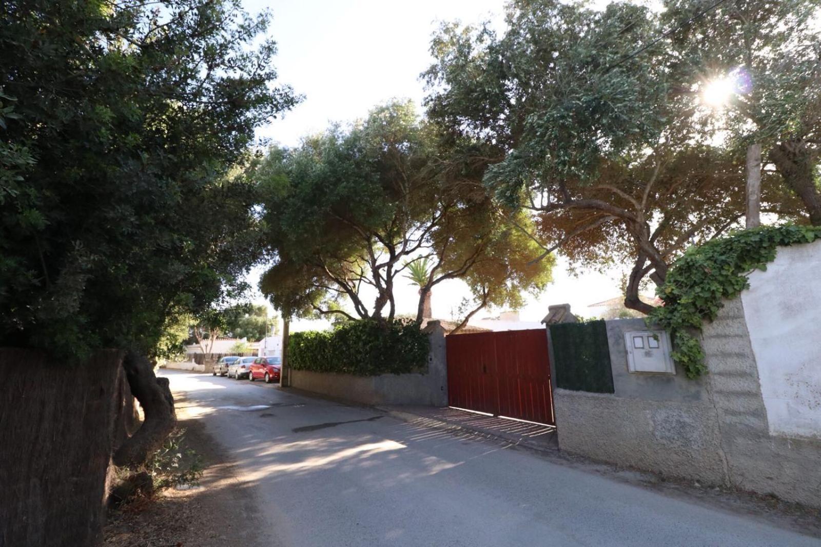 منزل الضيف زاهورا  في Casas Isabel المظهر الخارجي الصورة